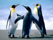 This is a test photo