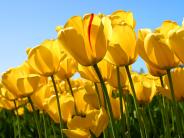 This is a test photo