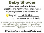 Community Baby Shower