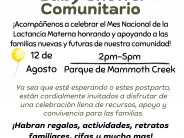 Baby Shower Comunitario