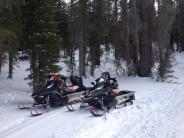 Snowmobiles photo