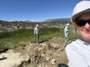 Meadow Restoration Meadow Restoration