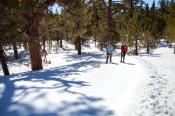 Winter Trail at Inyo Craters, Mono County