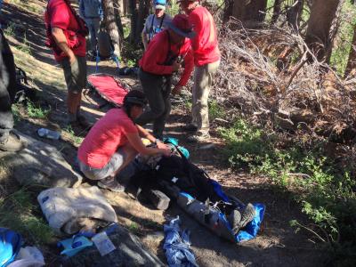 Aid to injured backcountry pack riders