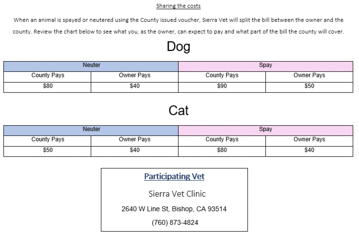Can Dogs Give You Mono