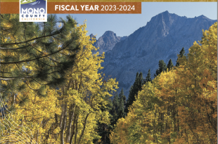 2024 Annual Report